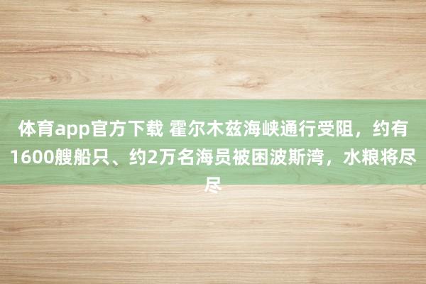 体育app官方下载 霍尔木兹海峡通行受阻，约有1600艘船只、约2万名海员被困波斯湾，水粮将尽