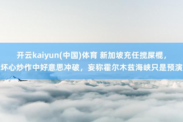 开云kaiyun(中国)体育 新加坡充任搅屎棍，坏心炒作中好意思冲破，妄称霍尔木兹海峡只是预演