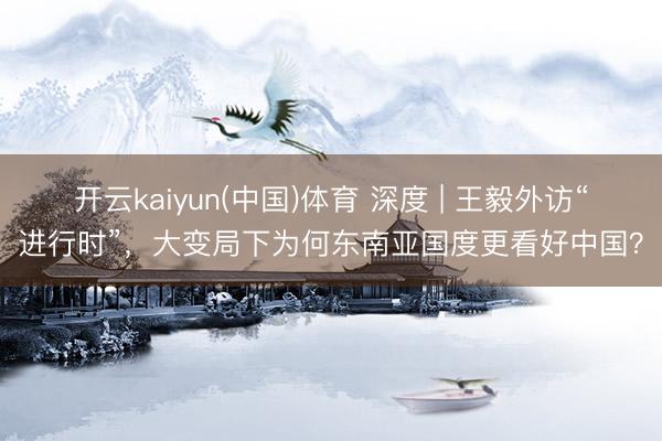 开云kaiyun(中国)体育 深度 | 王毅外访“进行时”，大变局下为何东南亚国度更看好中国？