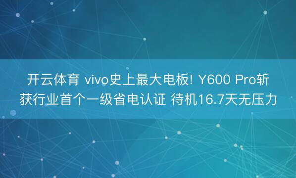 开云体育 vivo史上最大电板! Y600 Pro斩获行业首个一级省电认证 待机16.7天无压力